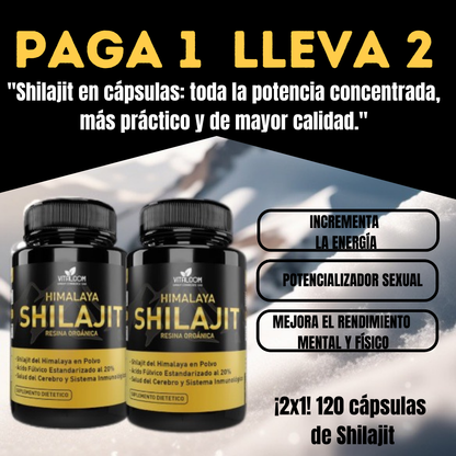 2X1 SHILAJIT ORIGINAL 100% NATURAL